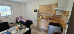 Apartmán u Lebedů